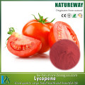 High quality health food lycopene powder price, tomato lycopene